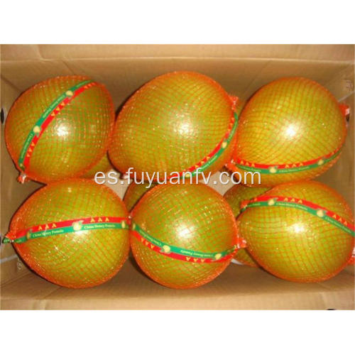 Hotsale pomelo fresco con buen sabor